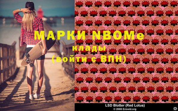 ПСИЛОЦИБИНОВЫЕ ГРИБЫ Инта