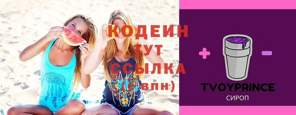 ПСИЛОЦИБИНОВЫЕ ГРИБЫ Инта