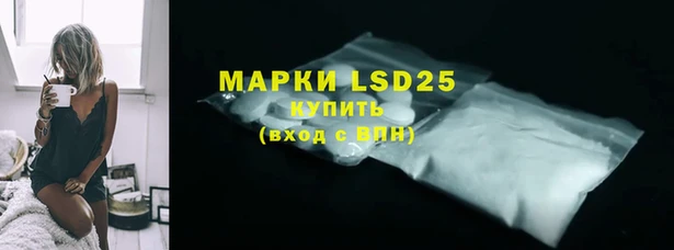 ПСИЛОЦИБИНОВЫЕ ГРИБЫ Инта