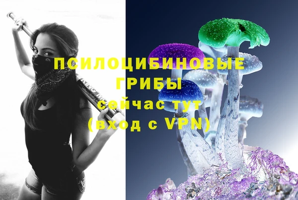 круглые Инсар