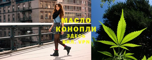 ПСИЛОЦИБИНОВЫЕ ГРИБЫ Инта