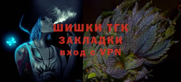 ПСИЛОЦИБИНОВЫЕ ГРИБЫ Инта
